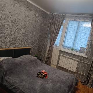 ���� �������� �� �������� 8 �����